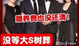 国产对白91直播,揭秘热门直播间的魅力与幕后故事